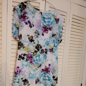 Multi Color Floral Print Sleeveless Dress